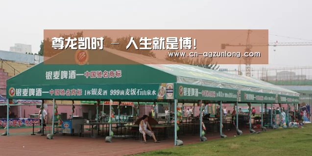 案例标题七