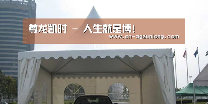 案例标题八