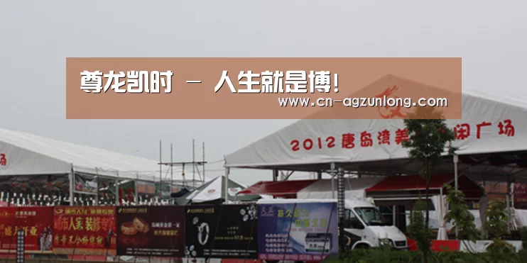 案例标题十