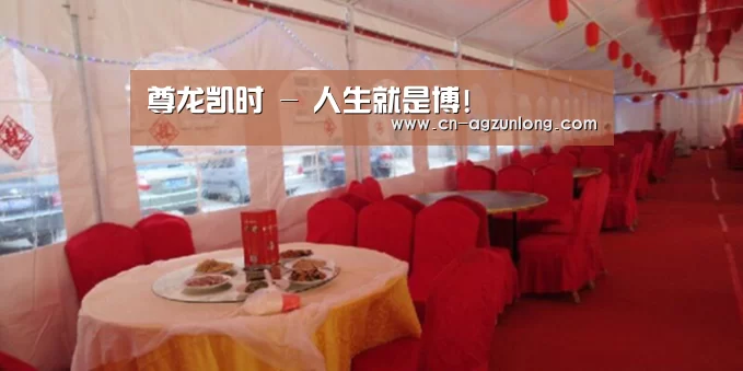 案例标题二