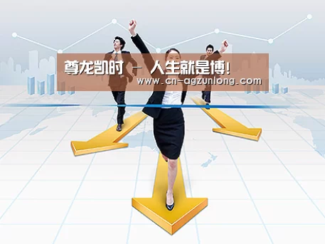 荣誉资质标题三