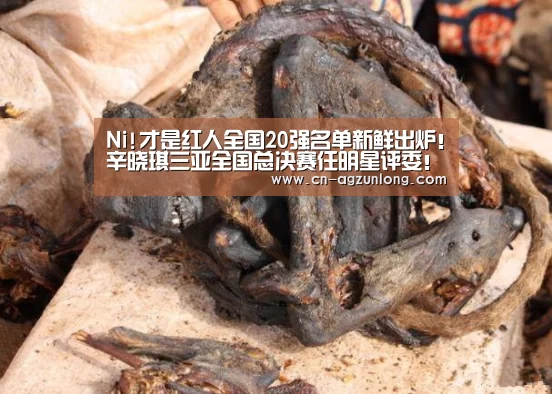 Ni!才是红人全国20强名单新鲜出炉！辛晓琪三亚全国总决赛任明星评委！|尊龙凯时人生就是搏